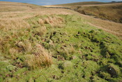 EHG4675_18.JPG