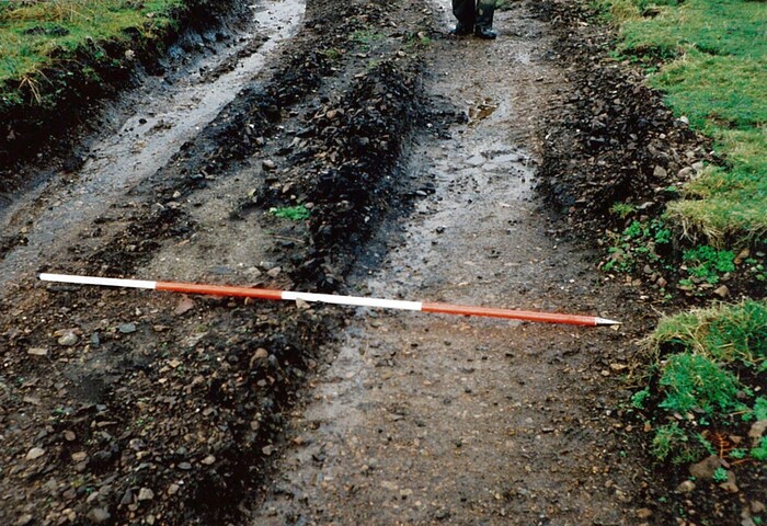 EHG4711_05.jpg