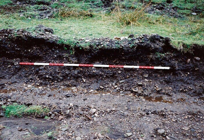 EHG4711_07.jpg