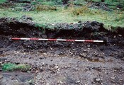 EHG4711_07.jpg