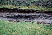 EHG4711_08.jpg