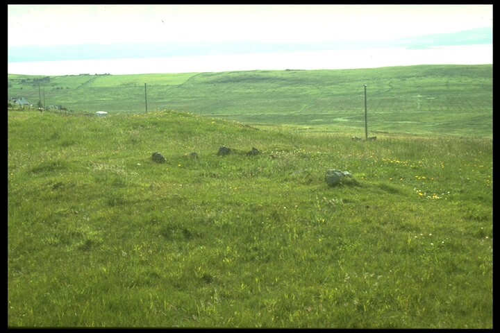1046.jpg