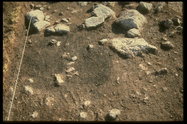 1061.jpg