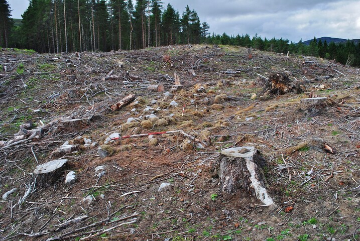 EHG4357_13.JPG