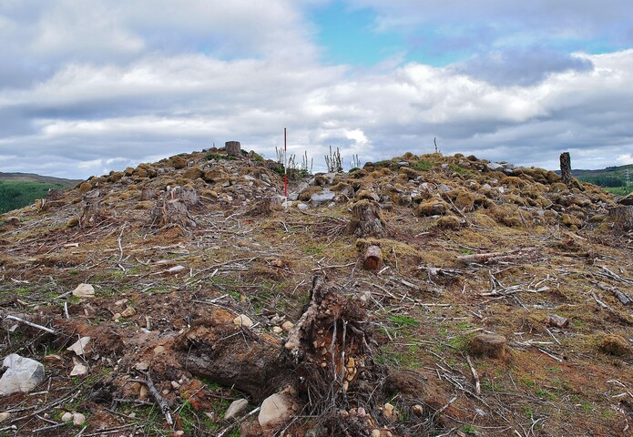 EHG4357_14.JPG