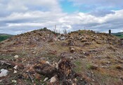 EHG4357_14.JPG