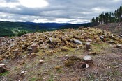 EHG4357_28.JPG