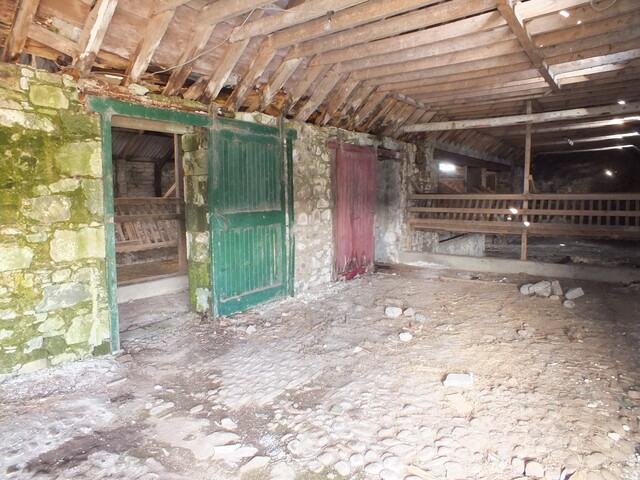 EHG4733_50.JPG