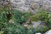 EHG4750_30.JPG
