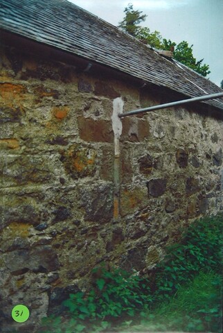 EHG4416_31.jpg