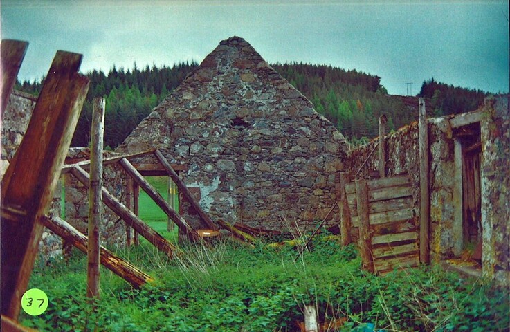 EHG4416_37.jpg