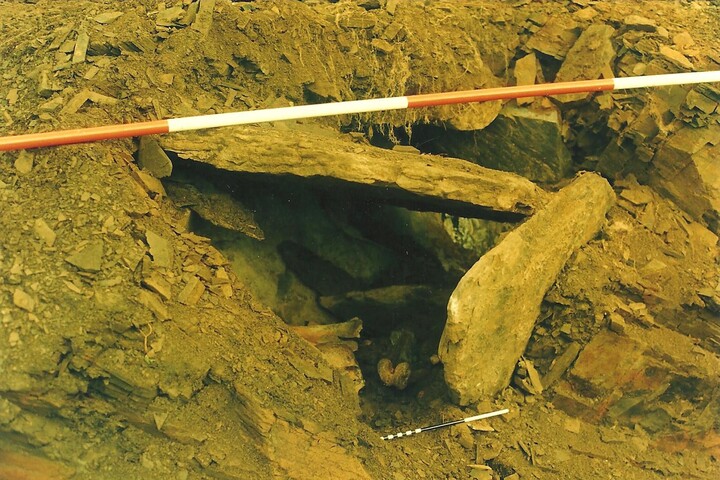 87-02-1-3.jpg