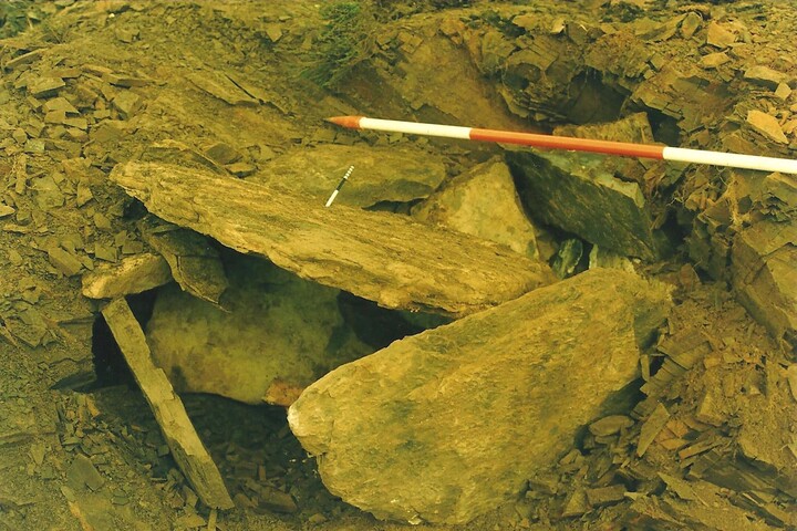 87-02-1-7.jpg