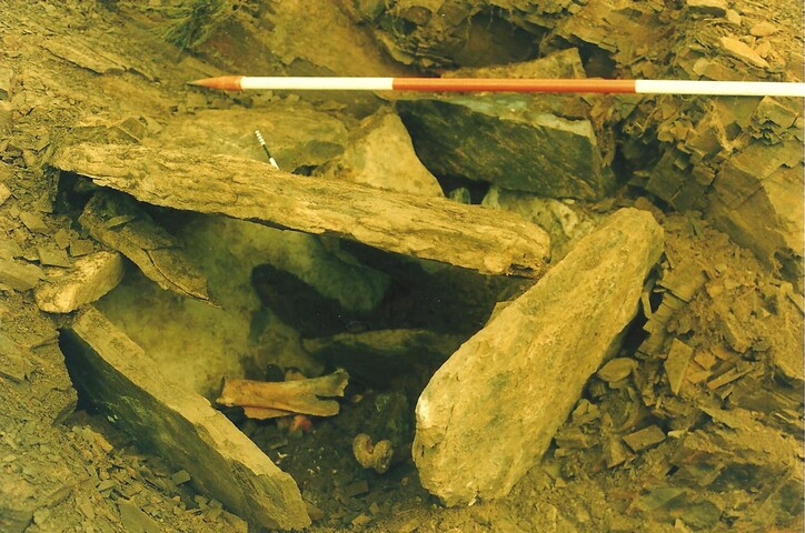 87-02-1-8.jpg