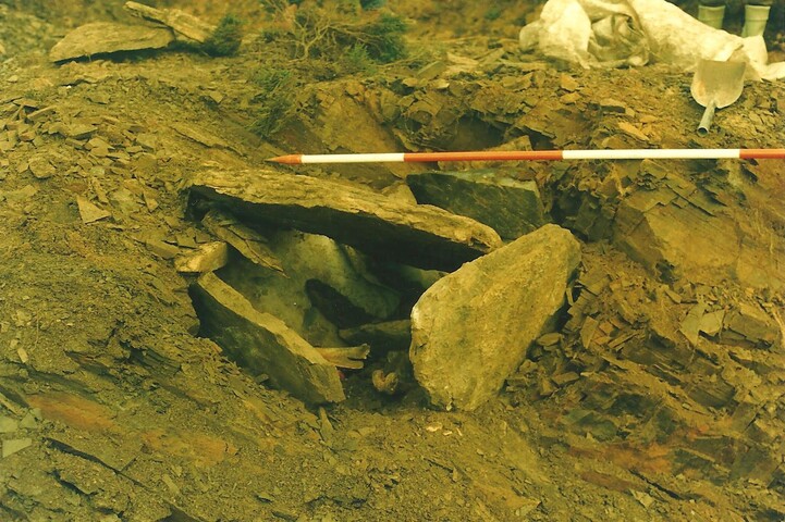87-02-1-9.jpg