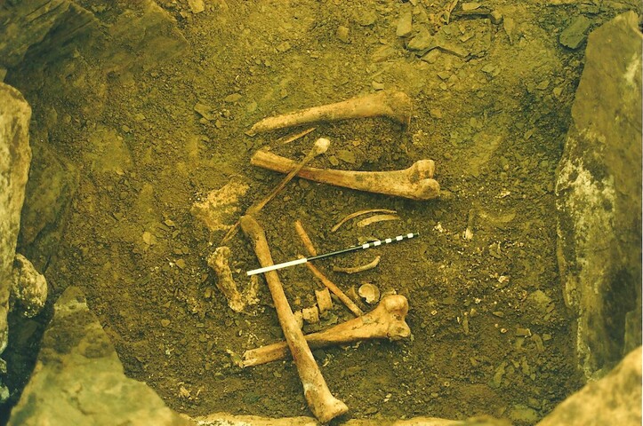87-02-1-19.jpg