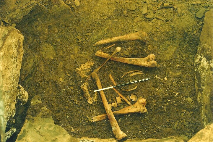 87-02-1-20.jpg
