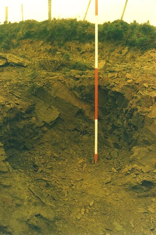 87-02-1-29.jpg