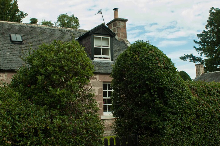 EHG4765_CAW15_UID003_05.jpg