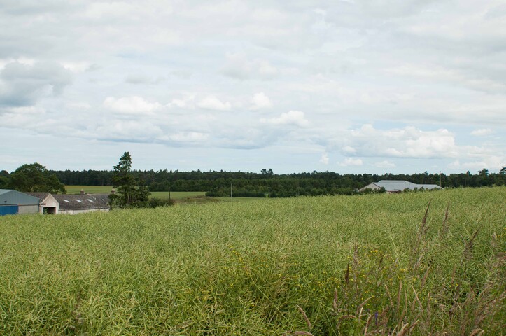 EHG4765_CAW15_B9090 West Gateway_07.jpg