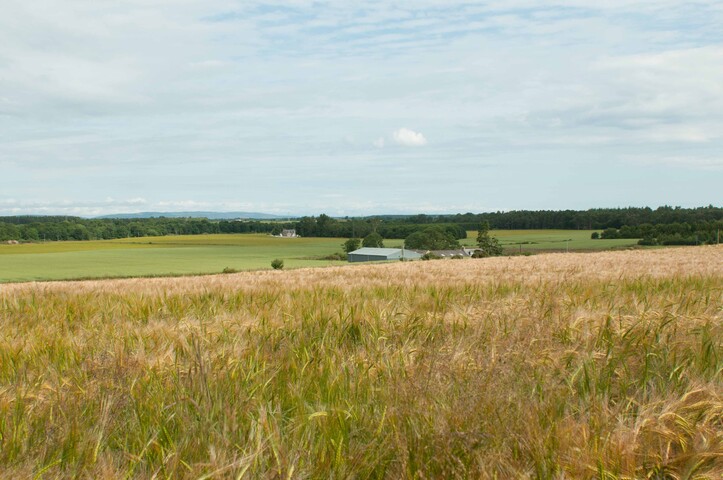 EHG4765_CAW15_Budgate Rd_02.jpg