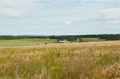 EHG4765_CAW15_Budgate Rd_02.jpg