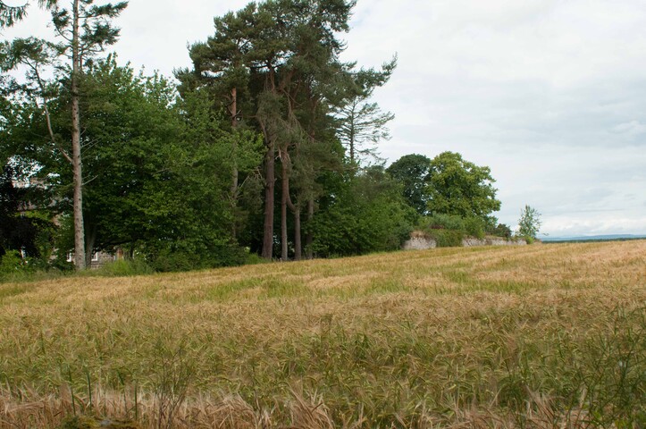 EHG4765_CAW15_Budgate Rd_03.jpg
