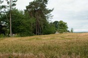 EHG4765_CAW15_Budgate Rd_03.jpg