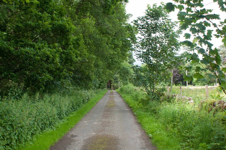 EHG4765_CAW15_Budgate Rd_04.jpg