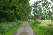 EHG4765_CAW15_Budgate Rd_04.jpg