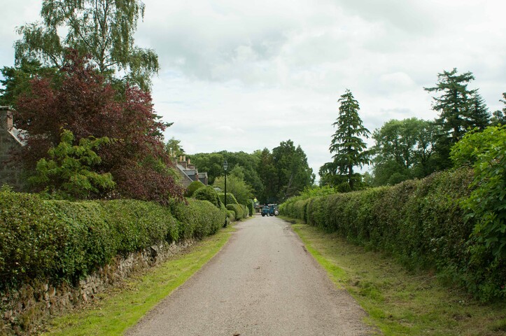 EHG4765_CAW15_Budgate Rd_05.jpg