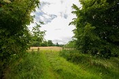 EHG4765_CAW15_Castle Rd_03.jpg