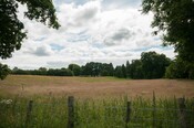 EHG4765_CAW15_Castle Rd_07.jpg