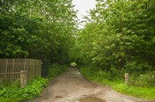 EHG4765_CAW15_Castle Rd_09.jpg