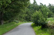 EHG4765_CAW15_Dulsie Rd Gateway_01.jpg