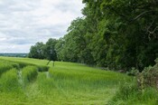 EHG4765_CAW15_Dulsie Rd Gateway_02.jpg