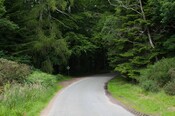 EHG4765_CAW15_Dulsie Rd Gateway_03.jpg