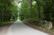 EHG4765_CAW15_Dulsie Rd Gateway_04.jpg