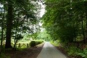 EHG4765_CAW15_Dulsie Rd Gateway_05.jpg
