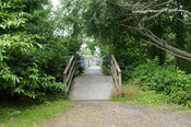 EHG4765_CAW15_Footbridge_02.jpg