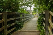 EHG4765_CAW15_Footbridge_03.jpg
