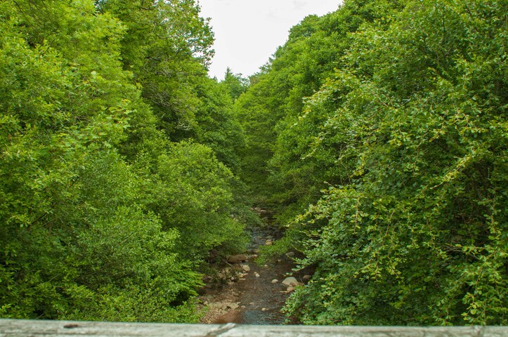 EHG4765_CAW15_Footbridge_04.jpg