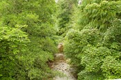 EHG4765_CAW15_Footbridge_05.jpg