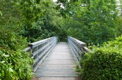EHG4765_CAW15_Footbridge_06.jpg
