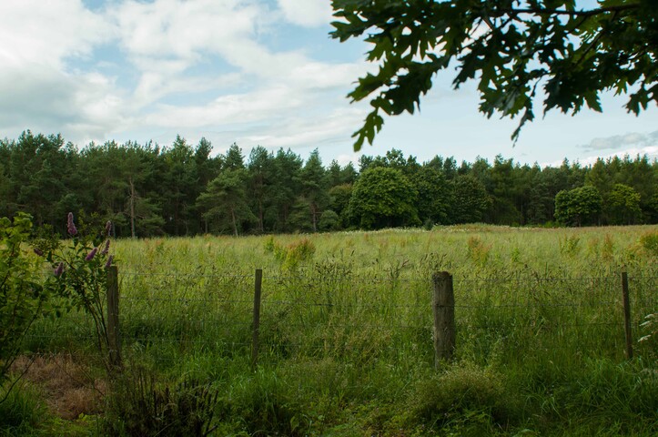 EHG4765_CAW15_Milton Cawdor Gateway_05.jpg