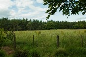 EHG4765_CAW15_Milton Cawdor Gateway_05.jpg