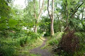 EHG4765_CAW15_Mound Woodland Walk_02.jpg