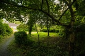 EHG4765_CAW15_Mound Woodland Walk_04.jpg