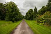 EHG4765_CAW15_North Lodge Rd_02.jpg