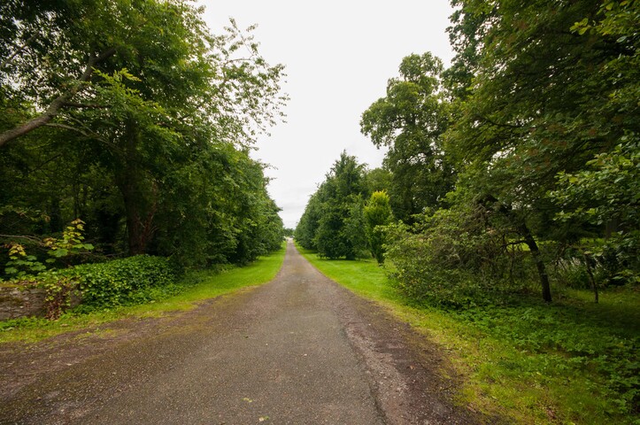 EHG4765_CAW15_North Lodge Rd_04.jpg